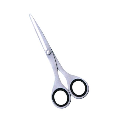Plastic Handle Hair Cutting Scissors
